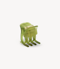 Mini Claw, Algae