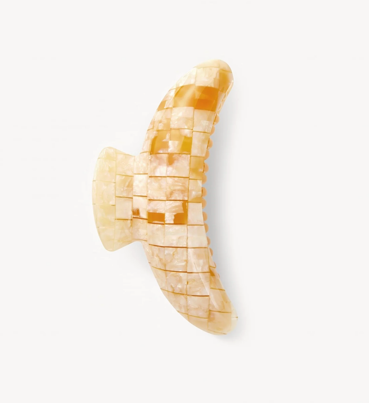 Jumbo Heirloom Claw, Sea Shell Checker