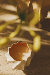 Ulla Candle, Celadon