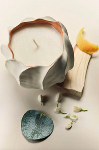 Ulla Candle, Cowrie