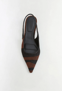 Jenny Heel, Cacao Multi