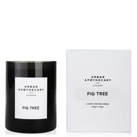 Urban Apothecary Candle, Fig Tree